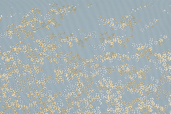 Image-empty-state_edited_edited_edited.j