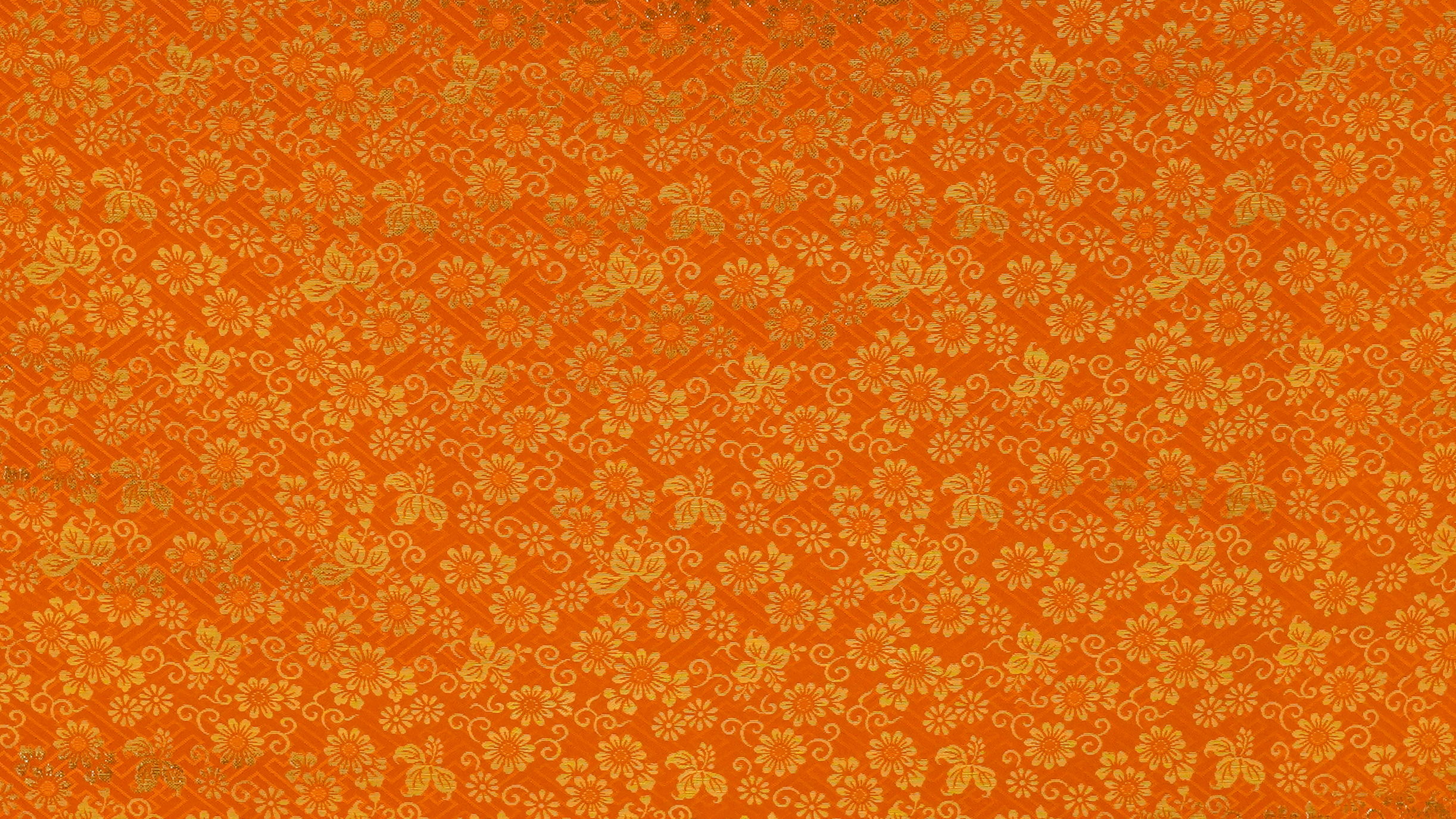 Image-empty-state_edited_edited_edited.j