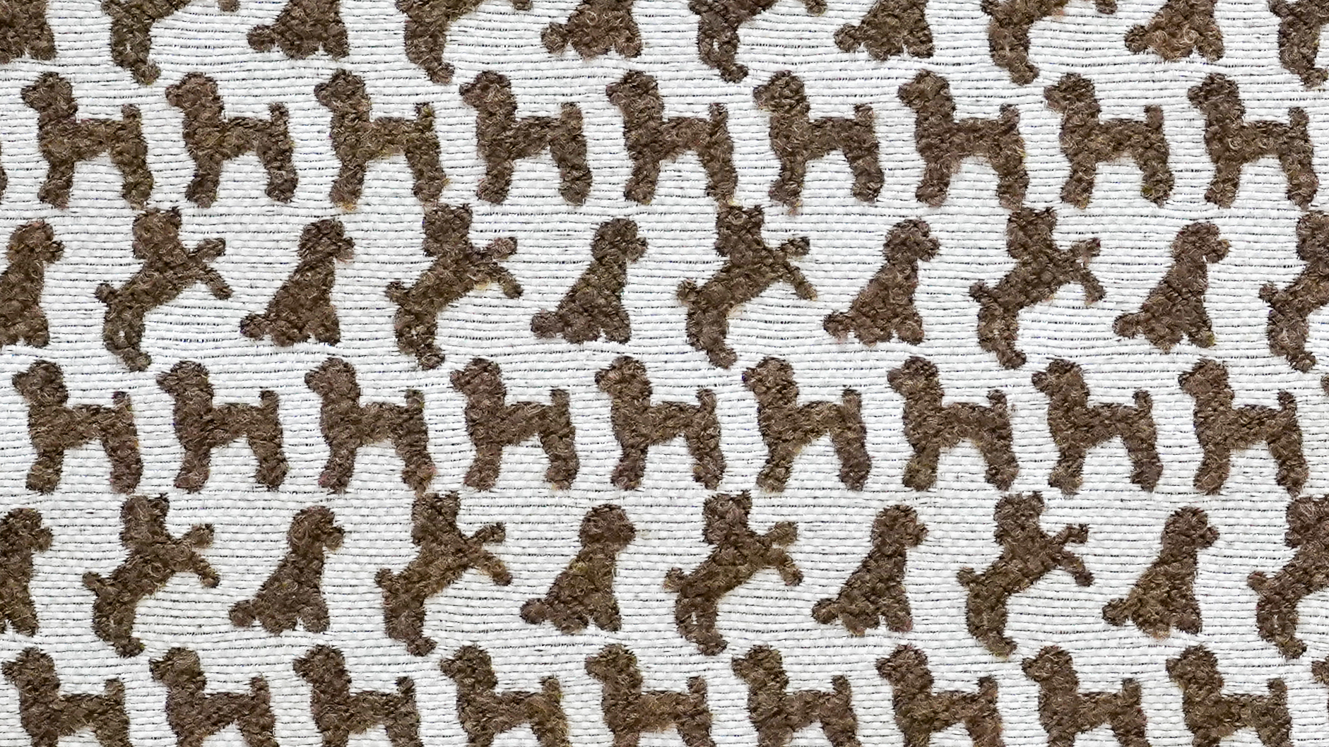 Image-empty-state_edited_edited_edited.j