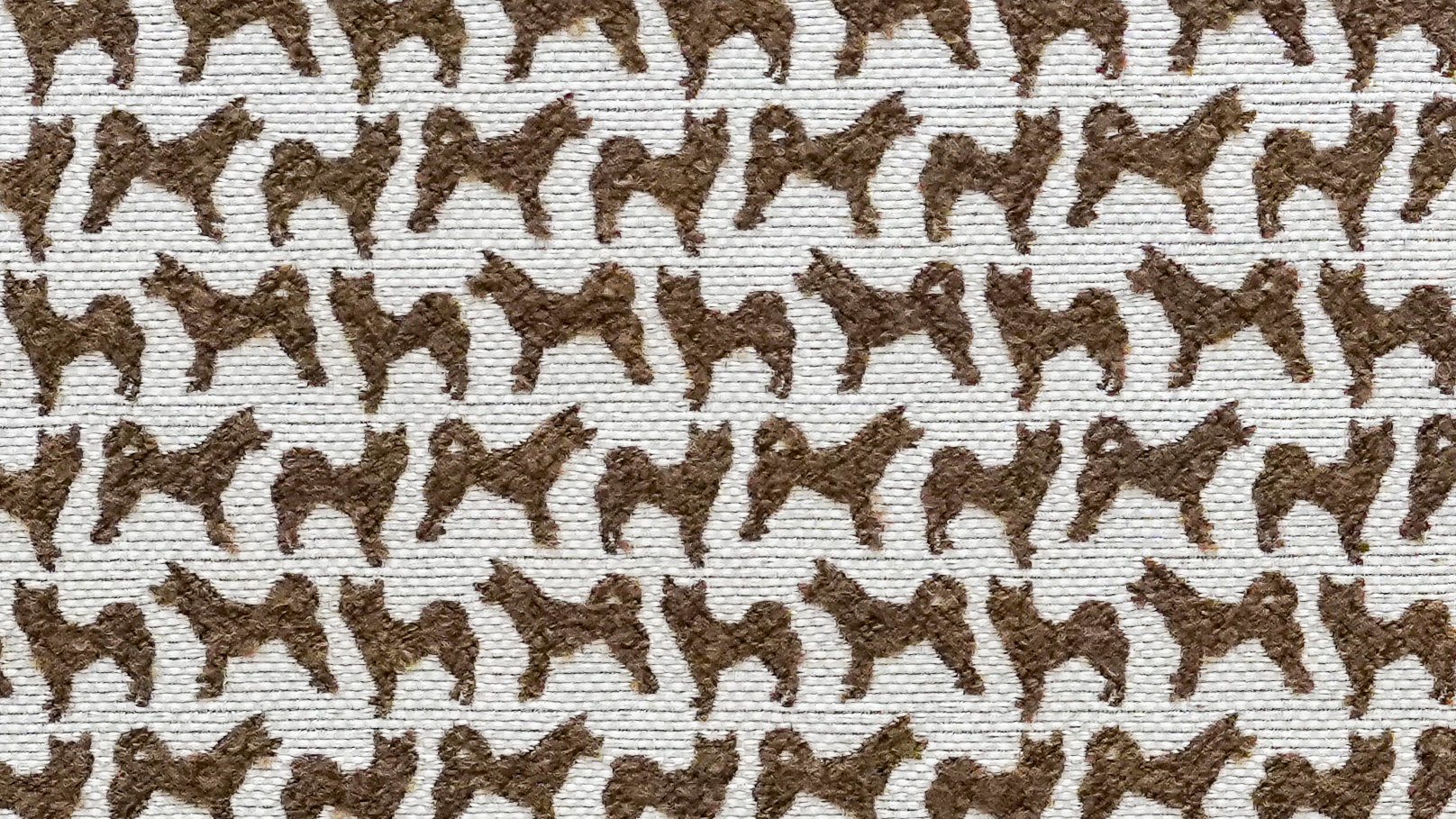 Image-empty-state_edited_edited_edited.j