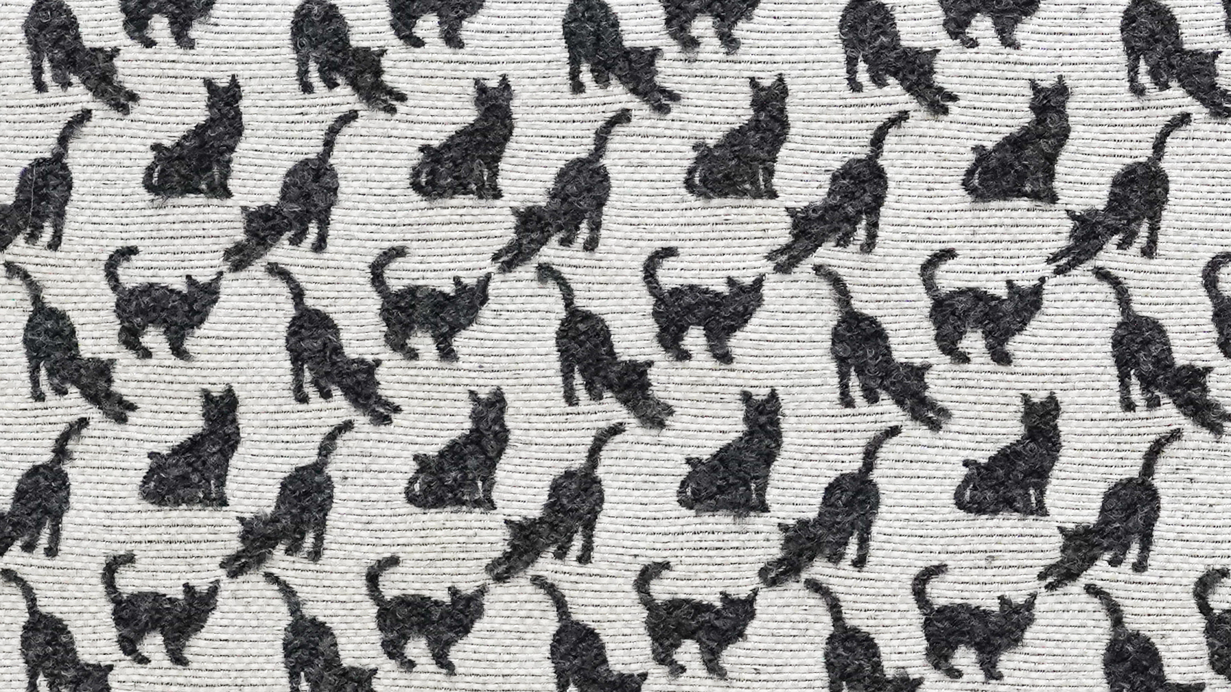 Image-empty-state_edited_edited_edited.j