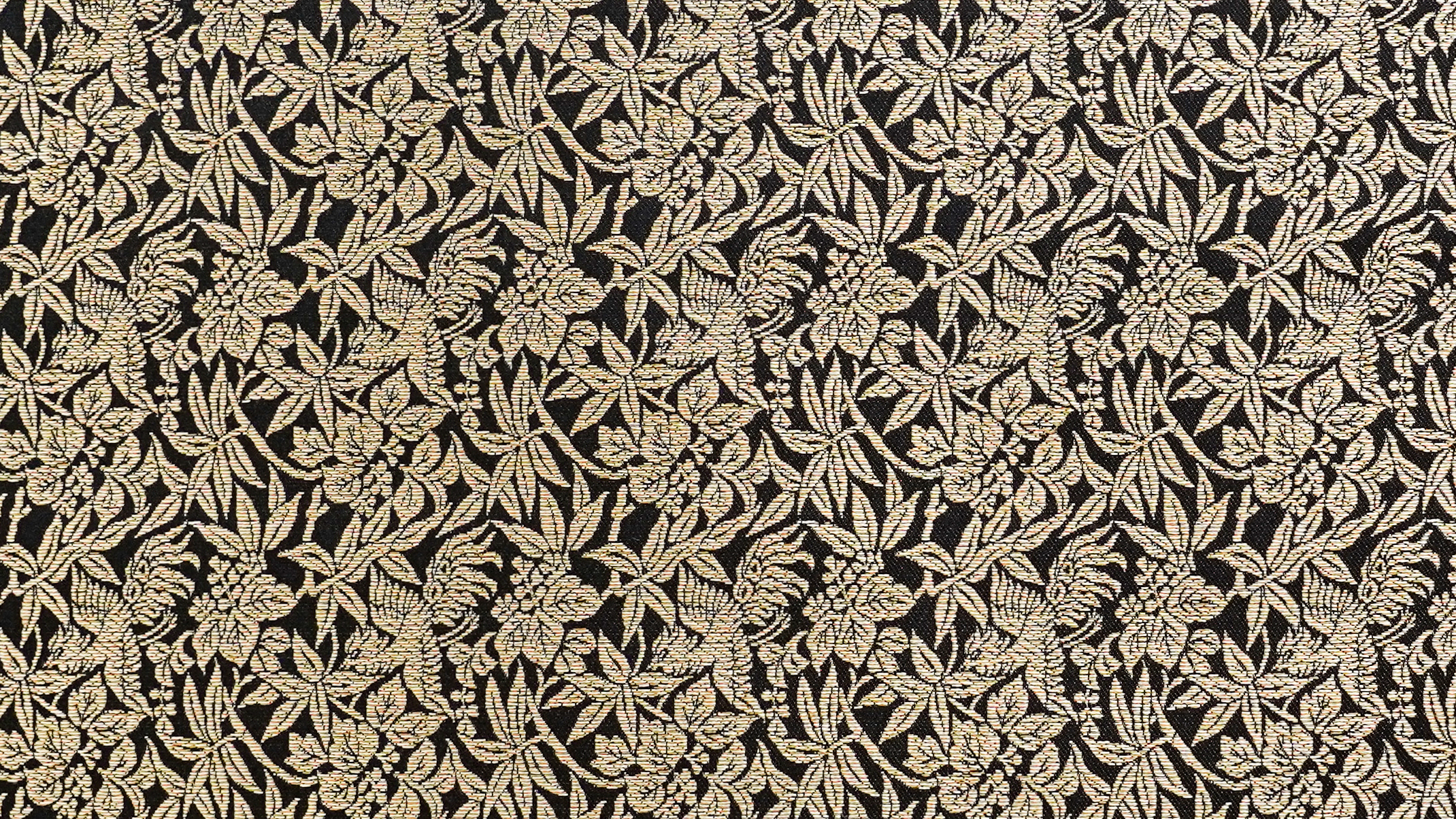 Image-empty-state_edited_edited_edited.j