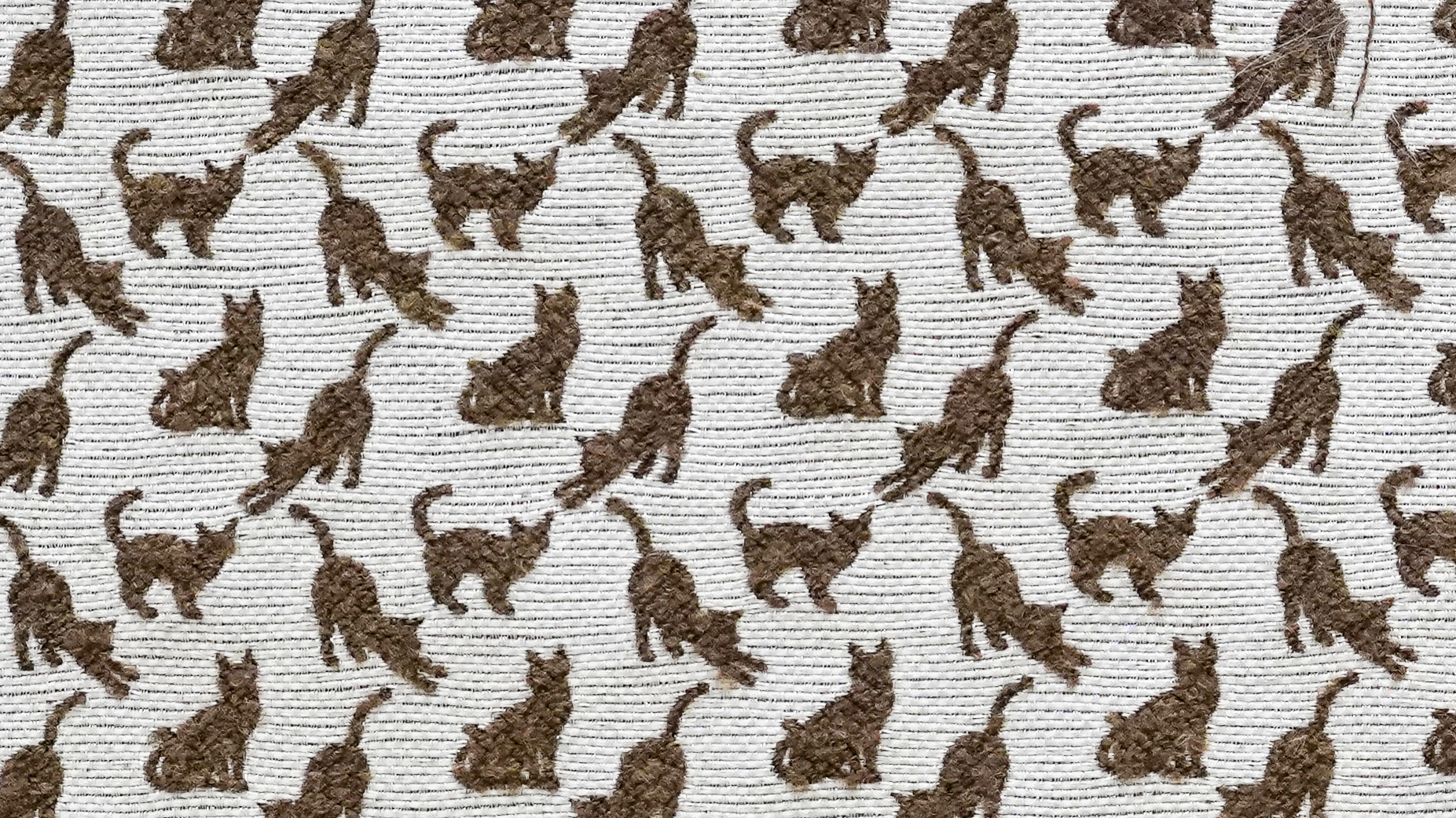 Image-empty-state_edited_edited_edited.j