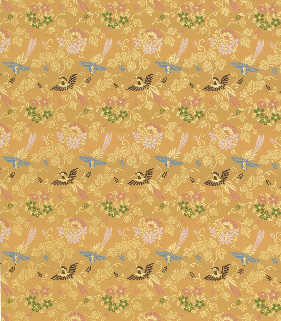 Image-empty-state_edited_edited_edited.j