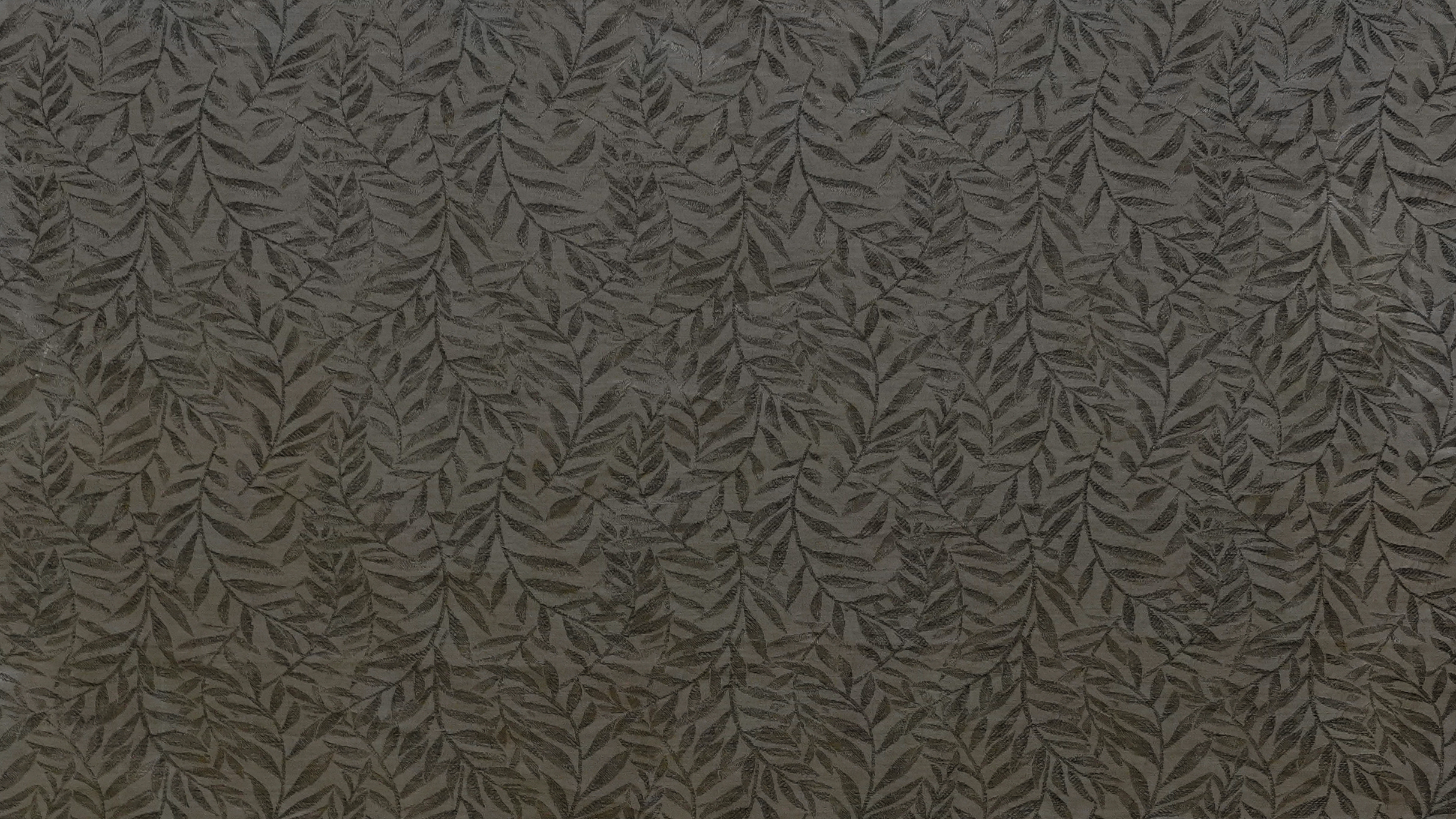 Image-empty-state_edited_edited_edited.j