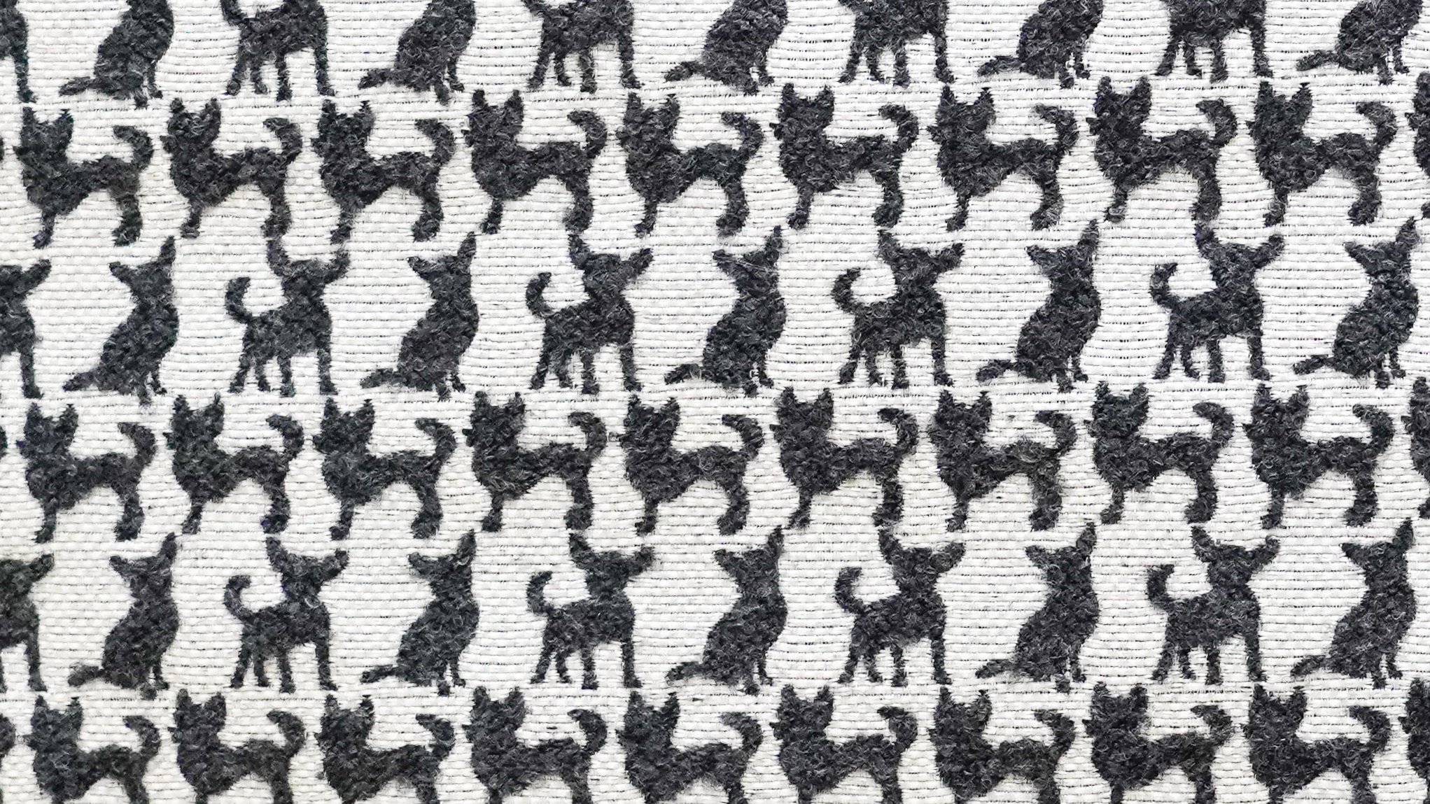 Image-empty-state_edited_edited_edited.j