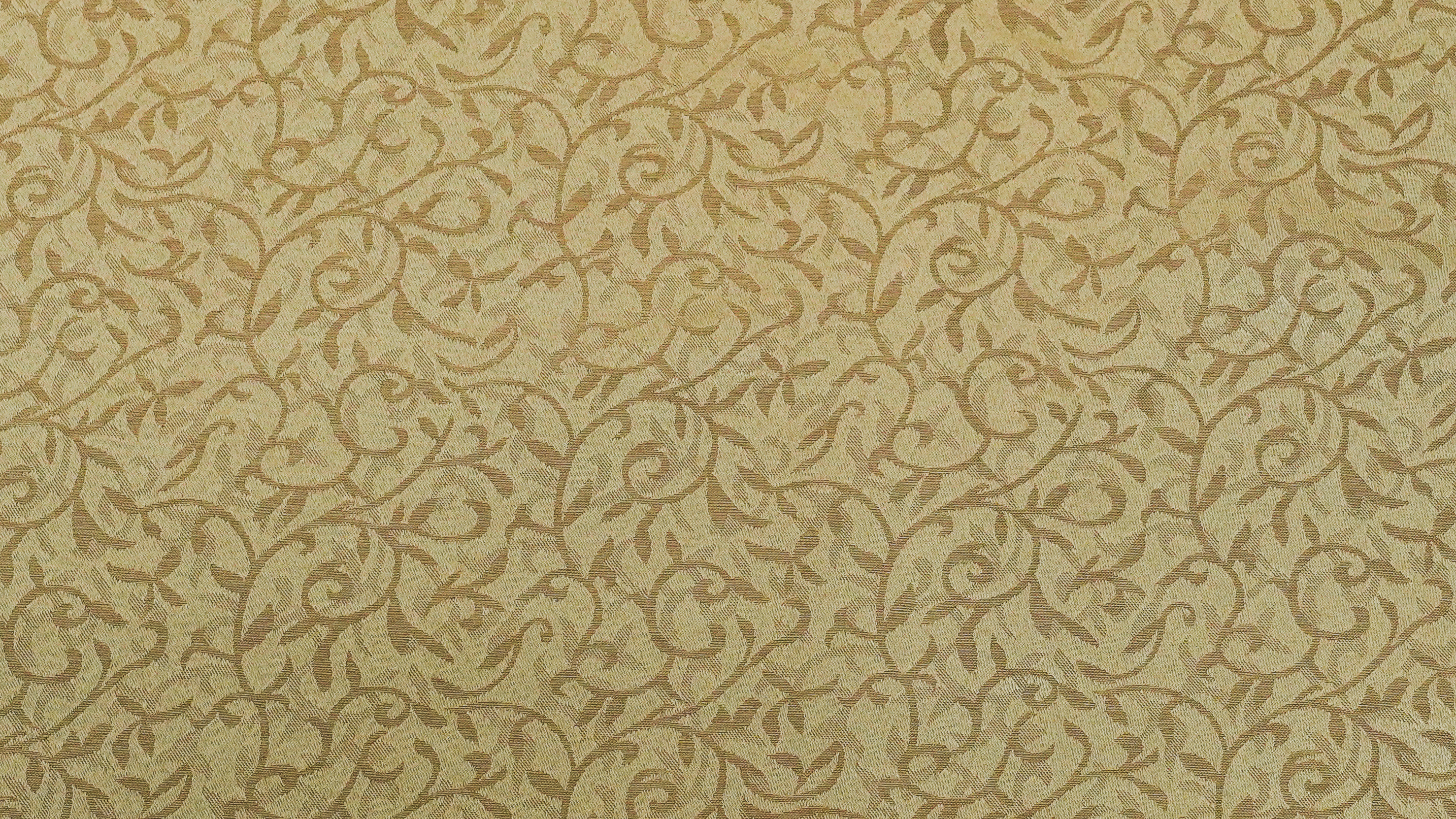 Image-empty-state_edited_edited_edited.j