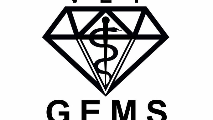Veterinary Glasgow Evidence-based Medicine Society