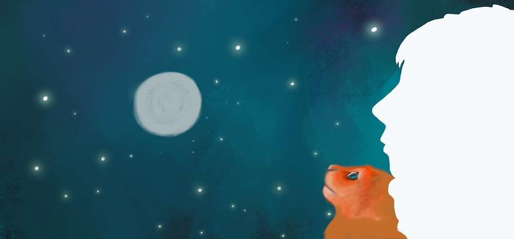 Children's book, children's book illustration, cover design