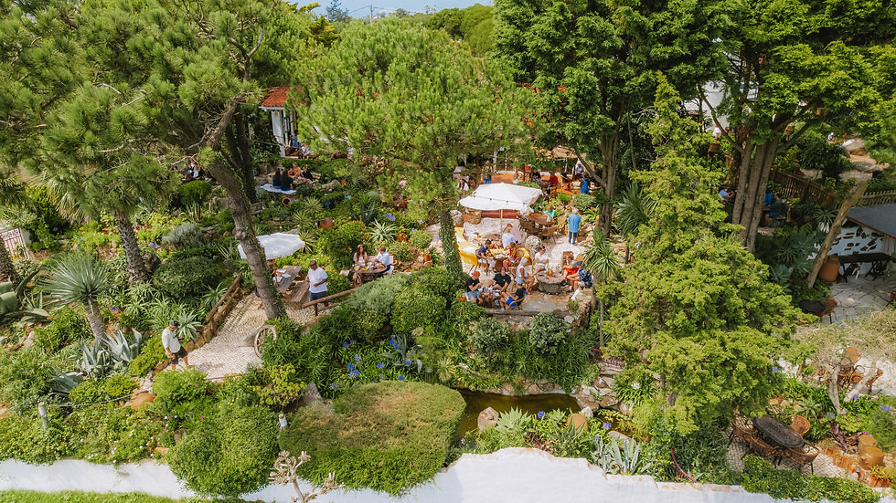 DJI_0151.jpg