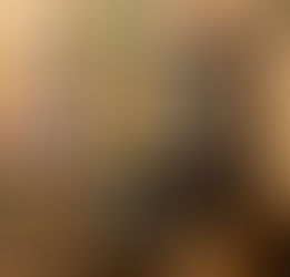 Música ao Vivo no Moinho: Agenda de Primavera