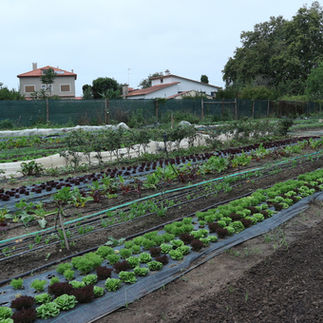 Horta da Garça