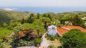 At Moinho Dom Quixote, our garden, terrace, and orchard are part of this great natural wealth, and it is our invitation for everyone to help take care of this little piece of paradise.