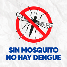 220x220-PrevDengue-Girá-Tapá-Limpiá.gif