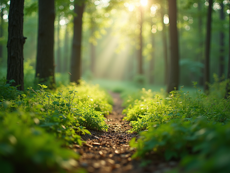 The Importance of Sustainable Living in Today's World