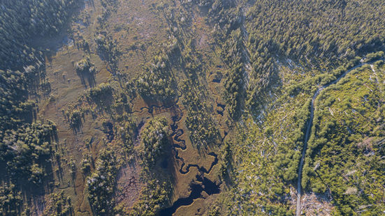 DJI_0017.jpg