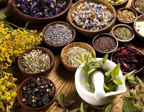 african-traditional-medicine-herbs-2.jpeg