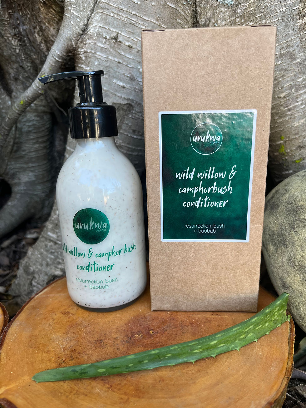 Marula & Wild Willow Conditioning Shampoo