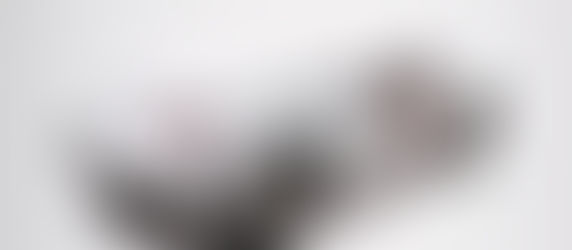 Rinasce il marchio torinese Testadoro