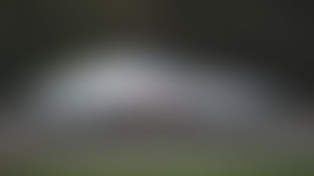 Fuoriconcorso in pillole - British Racing green e F1  