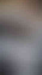 Rudy Zerbi 1000 Miglia