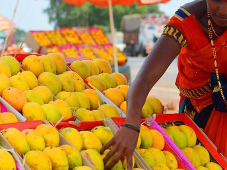 Where to buy Indian mangoes in Canada