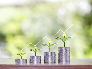 growing-saplings-on-a-coin-stack-include-a-graph-showing-financial-growth-investment-concepts-and-business-growth-free-photo