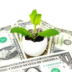 plant in egg surrounded by dollar bills