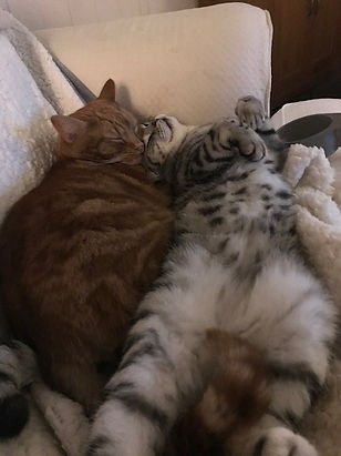 Archie and Louis.jpg