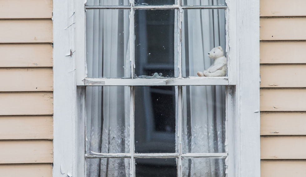 A cat napping in a window with a stuffed animal bear in Newport, Rhode Island