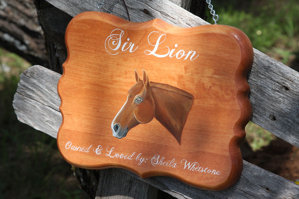 9"x 12" Hand Painted Horse Portrait stall sign
