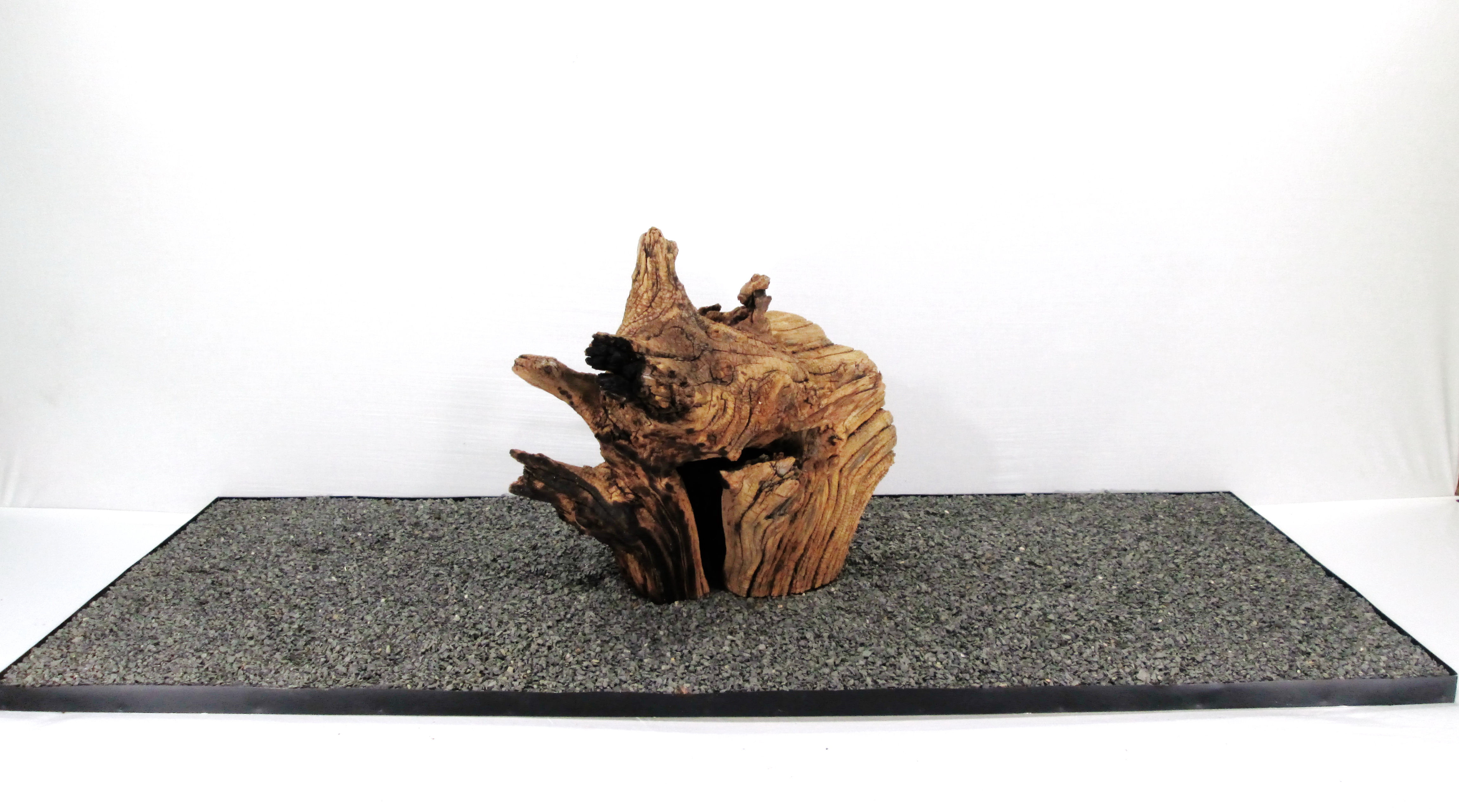 Композиция №55