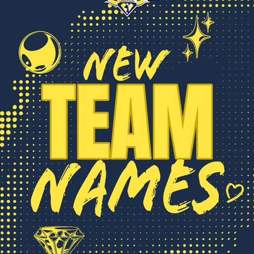 💙✨️ NEW TEAM NAMES ✨️💛