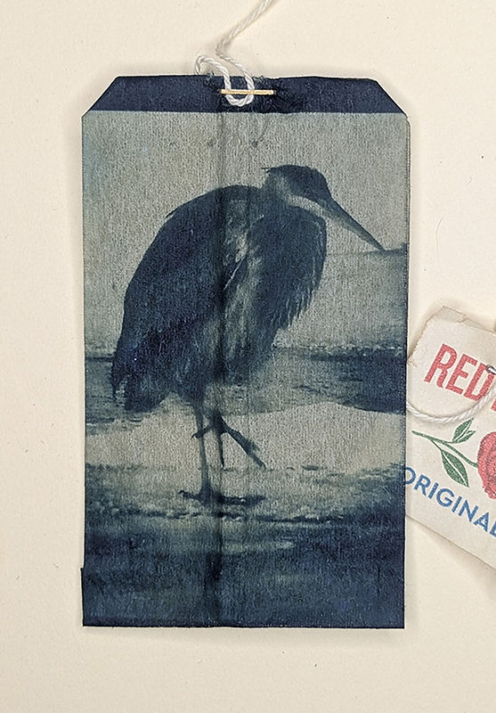@ Karen Rice, Heron, Sated, cyanotype on Red Rose tea bag