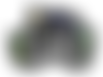 A digital collage with jungle foliage, a starry sky, & moon in the background, featuring Octavia Butler, Solange, Nichelle Nichols, Wanuri Kahiu, & Ruth E. Carter standing strong, side by side.