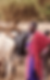 samburu grazing.png
