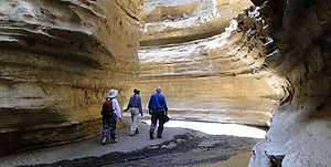 day-trip-to-hells-gate-national-park-from-nairobi-animals-adventure_038Yt.jpeg