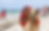 Camel walking tours.png