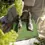 Thumbnail: Alice Tote Bag Green - Medium