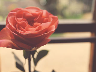 How Survivors Keep on Surviving