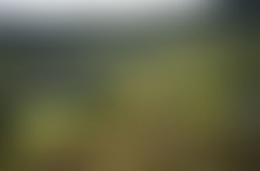 Loja, Aventura y Felicidad