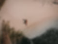 DJI_0238-4.jpg