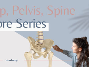 The difference between your hip and your pelvis and why it matters. (Core Series)