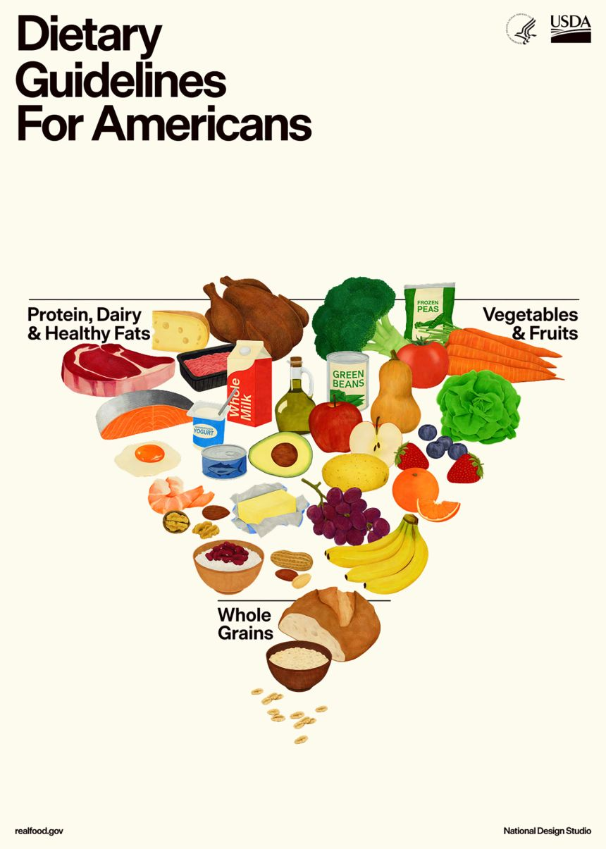 USDA Food Pyramid