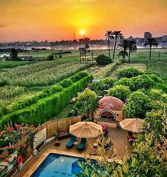 nile compound.jpeg