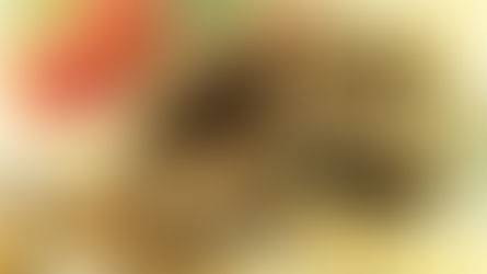 Gesunde Riegel mit Kakaogeschmack und HANFPROTEIN