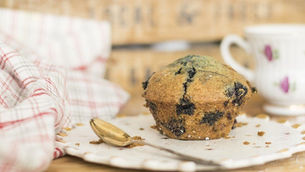 Ausgezeichnete Muffins mit HANFPROTEIN