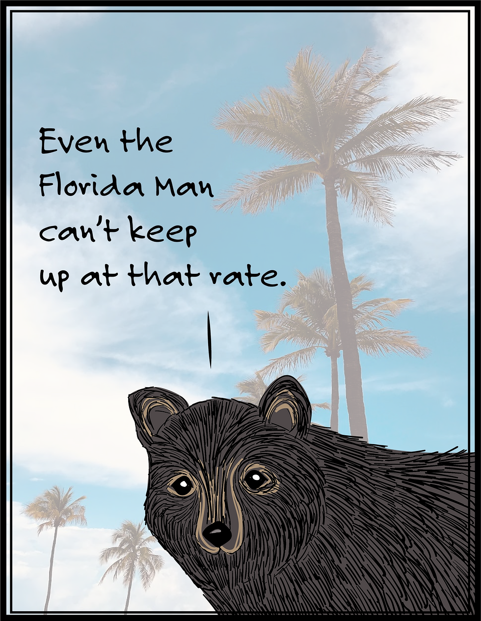 NewBlackBear2.png