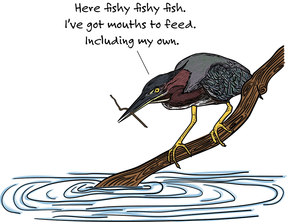 LtlGreenHeronTools.png