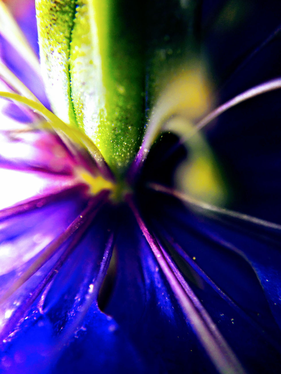 Color